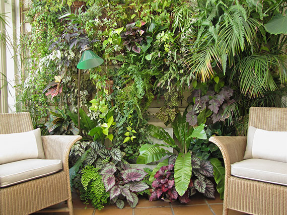 Jardines de invierno: un espacio verde dentro de casa